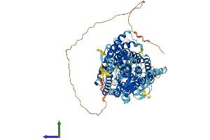 Protein Structure (PS) image for Chloride Channel, Voltage-Sensitive 7 (CLCN7) (AA 1-805) protein (His tag) (ABIN7553519)