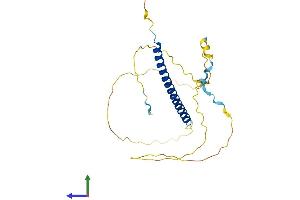 Protein Structure (PS) image for INO80 Complex Subunit E (INO80E) (AA 1-244) protein (His tag) (ABIN7548528)