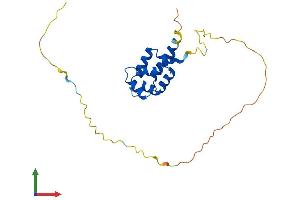 Protein Structure (PS) image for EDAR-Associated Death Domain (EDARADD) (AA 1-208) protein (His tag) (ABIN7559939)
