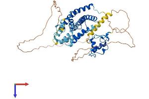 NR1H4 Protein (AA 1-488) (His tag)