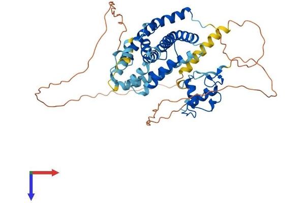 NR1H4 Protein (AA 1-488) (His tag)