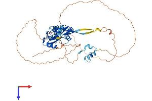 SOCS4 Protein (AA 1-436) (His tag)