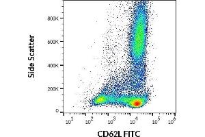 Flow cytometry surface staining pattern of human peripheral whole blood stained using anti-human CD62L (DREG56) FITC antibody (20 μL reagent / 100 μL of peripheral whole blood).