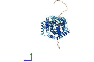 Protein Structure (PS) image for Solute Carrier Family 7 (Amino Acid Transporter, L-Type), Member 8 (SLC7A8) (AA 1-535) protein (His tag) (ABIN7554355)