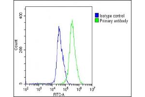 Overlay histogram showing U-251 MG cells stained with (ABIN655298 and ABIN2844885)(green line). (AP1M1 Antikörper  (AA 205-234))