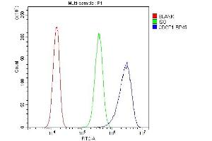anti-CUB Domain Containing Protein 1 (CDCP1) (AA 582-667) antibody
