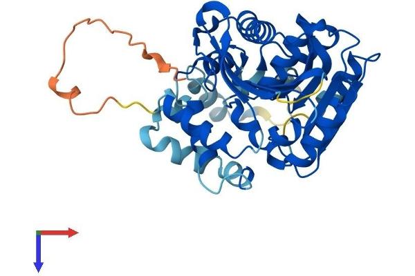 ABHD5 Protein (AA 1-351) (His tag)