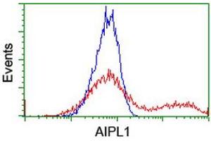 HEK293T cells transfected with either RC204079 overexpress plasmid (Red) or empty vector control plasmid (Blue) were immunostained by anti-AIPL1 antibody (ABIN2455132), and then analyzed by flow cytometry. (AIPL1 Antikörper)