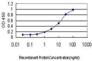 Detection limit for recombinant GST tagged PSENEN is approximately 0. (PEN2 Antikörper  (AA 1-101))