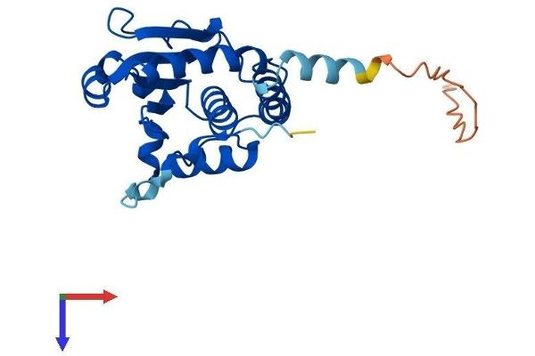 STYX Protein (AA 1-223) (His tag)