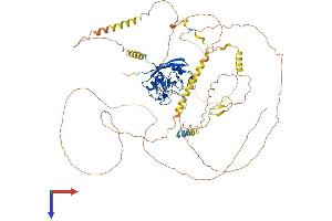 PPIG Protein (AA 1-752) (His tag)
