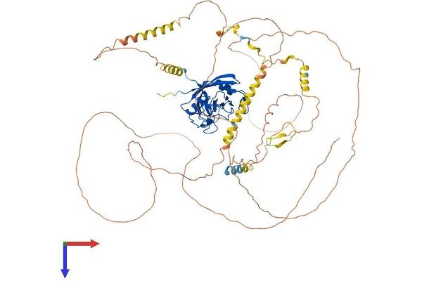 PPIG Protein (AA 1-752) (His tag)