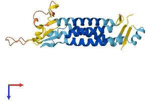 LHFPL2 Protein (AA 1-222) (His tag)