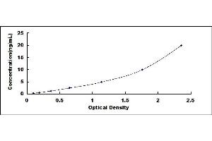 Typical standard curve (KERA ELISA Kit)