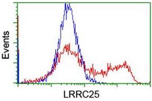 HEK293T cells transfected with either RC209911 overexpress plasmid (Red) or empty vector control plasmid (Blue) were immunostained by anti-LRRC25 antibody (ABIN2455899), and then analyzed by flow cytometry. (LRRC25 Antikörper)