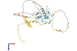 KLF14 Protein (AA 1-325) (His tag)