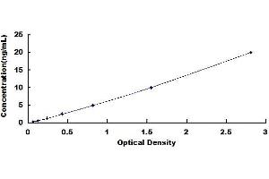 CCDC3 ELISA Kit