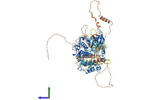 Protein Structure (PS) image for Ribosomal Protein S6 Kinase, 90kDa, Polypeptide 5 (RPS6KA5) (AA 1-863) protein (His tag) (ABIN7564481)