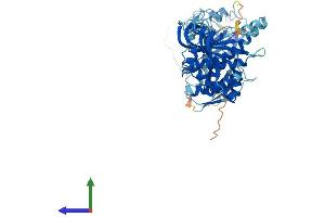 Protein Structure (PS) image for Guanylate Cyclase 1, Soluble, beta 3 (GUCY1B3) (AA 1-619) protein (His tag) (ABIN7547957)