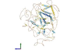 AlphaFold protein structure predicition of Mouse Recombinant Clspn Protein, UniprotID Q80YR7
