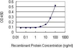 Detection limit for recombinant GST tagged DDAH1 is 3 ng/ml as a capture antibody. (DDAH1 Antikörper  (AA 181-285))
