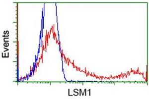 HEK293T cells transfected with either RC200288 overexpress plasmid (Red) or empty vector control plasmid (Blue) were immunostained by anti-LSM1 antibody (ABIN2454727), and then analyzed by flow cytometry. (LSM1 Antikörper  (AA 1-133))