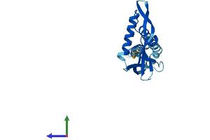 KCNMB4 Protein (AA 1-210) (His tag)