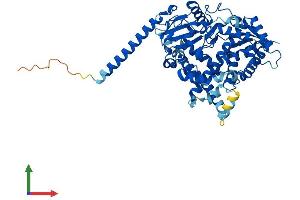 Protein Structure (PS) image for Cytochrome P450, Family 4, Subfamily F, Polypeptide 3 (CYP4F3) (AA 1-520) protein (His tag) (ABIN7553569)