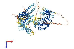 PKN3 Protein (AA 1-878) (His tag)