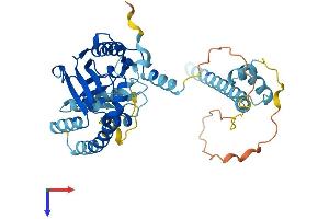 Ancient Ubiquitous Protein 1 Protein (Aup1) (AA 1-410) (His tag)