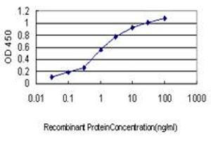 ELISA image for anti-3'(2'), 5'-Bisphosphate Nucleotidase 1 (BPNT1) (AA 1-101) antibody (ABIN599133) (BPNT1 Antikörper  (AA 1-101))
