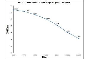 Antigen: 0. (AAV VP1 Antikörper)