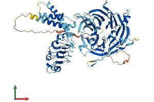 Protein Structure (PS) image for Leucine-Rich Repeat and WD Repeat-Containing Protein 1 (LRWD1) (AA 1-647) protein (His tag) (ABIN7554442)