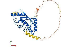 Protein Structure (PS) image for Ubiquitin-Conjugating Enzyme E2S (UBE2S) (AA 1-222) protein (His tag) (ABIN7555946)