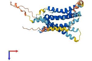 SLC39A13 Protein (AA 1-361) (His tag)