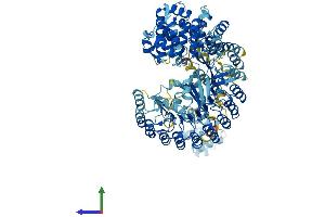 AlphaFold protein structure predicition of Mouse Recombinant Nlrp4a Protein, UniprotID Q8BU40