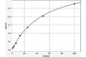 Amylase, alpha 2A (Pancreatic) (AMY2A) ELISA Kit