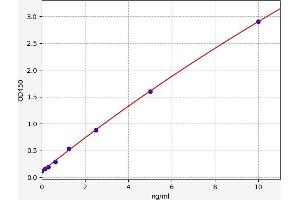 Typical standard curve