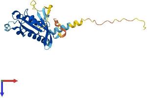 RABL2B Protein (AA 1-228) (His tag)