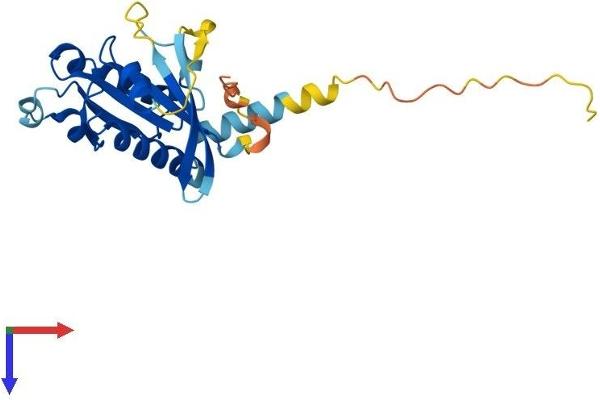 RABL2B Protein (AA 1-228) (His tag)