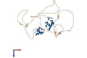 PAX8 Protein (AA 1-450) (His tag)