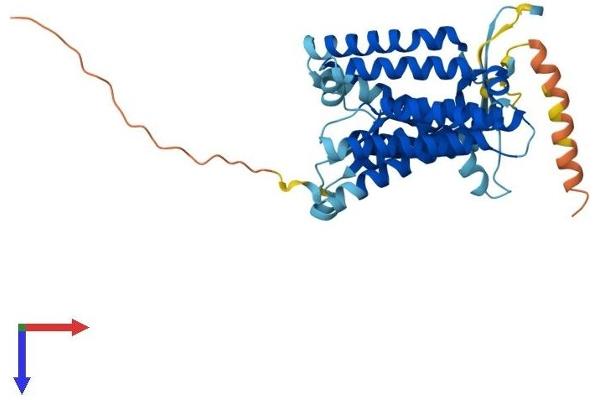 H13 Protein (AA 1-378) (His tag)