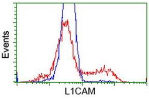Flow Cytometry (FACS) image for anti-L1 Cell Adhesion Molecule (L1CAM) antibody (ABIN1499083)