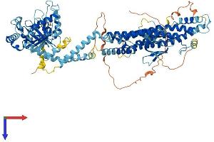 Dynamin 1 Protein (DNM1) (AA 1-867) (His tag)