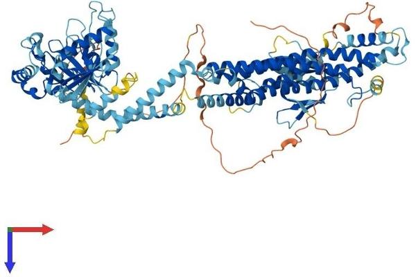 Dynamin 1 Protein (DNM1) (AA 1-867) (His tag)