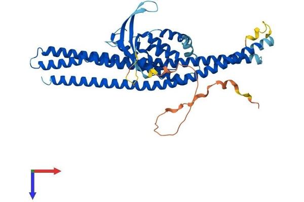 Sorting Nexin 4 Protein (SNX4) (AA 1-450) (His tag)