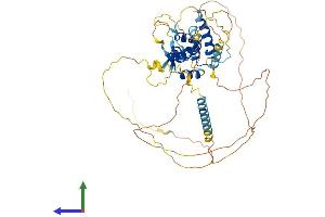 AlphaFold protein structure predicition of Mouse Recombinant Nol4 Protein, UniprotID P60954