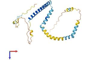 TPD52 Protein (AA 1-224) (His tag)