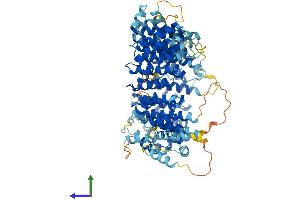 Protein Structure (PS) image for Chromosome 7 Open Reading Frame 27 (C7orf27) (AA 1-822) protein (His tag) (ABIN7564511)
