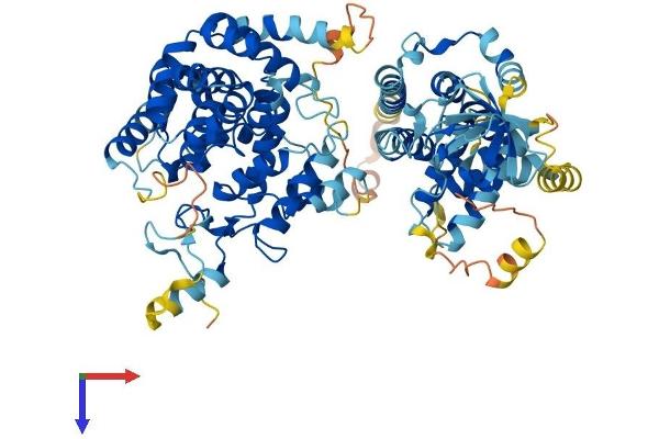 SGSM3 Protein (AA 1-750) (His tag)